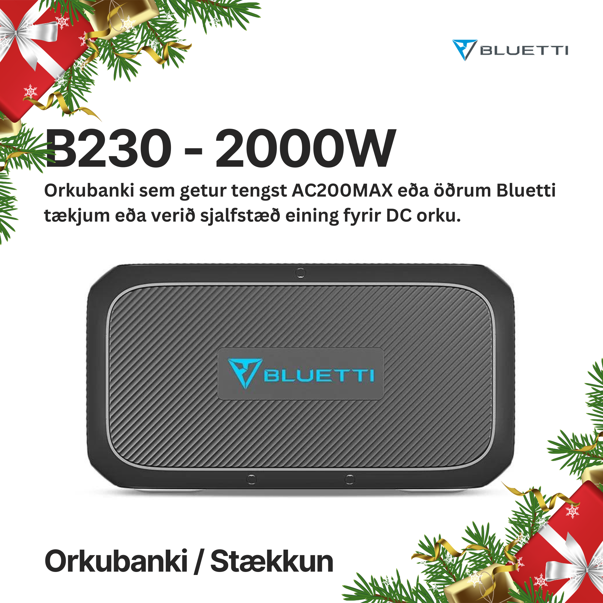 BLUETTI B230 ORKUBANKI - STÆKKUN